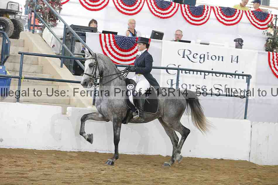 Proof 13r14_5813