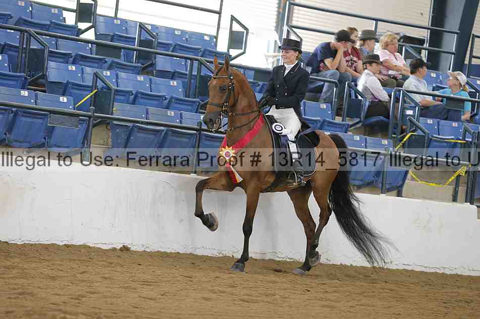 Proof 13r14_5817