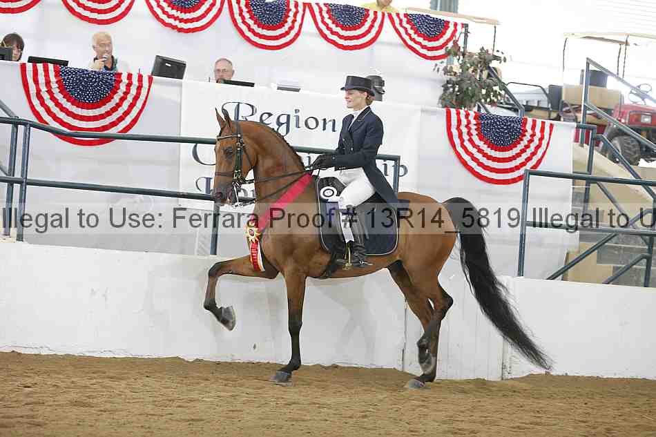 Proof 13r14_5819