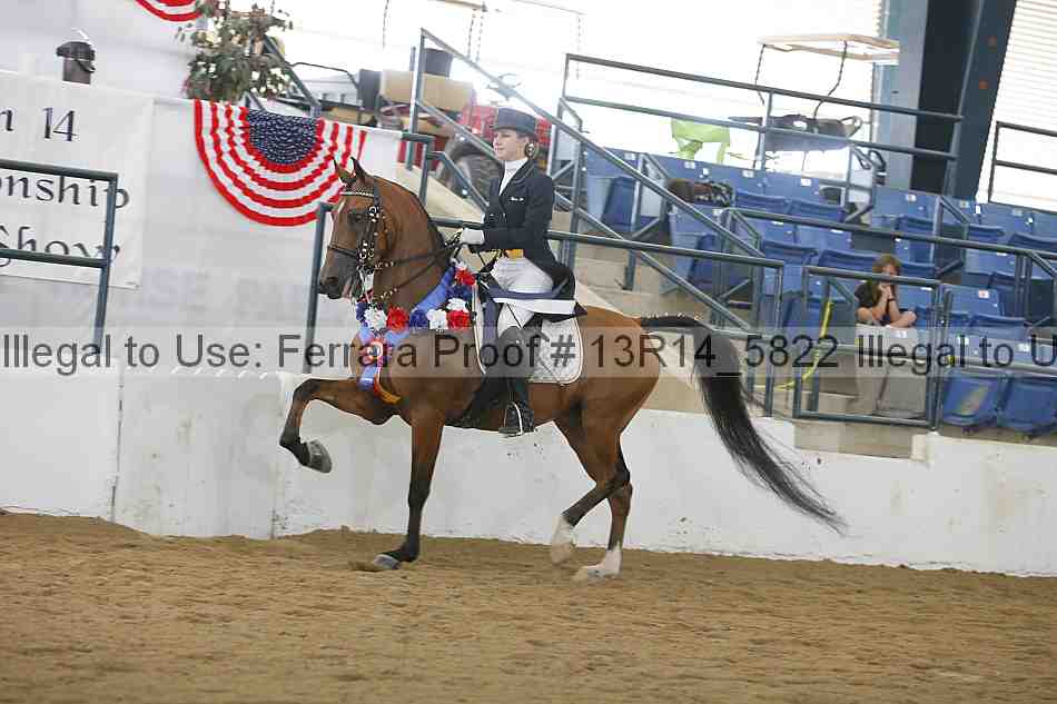 Proof 13r14_5822