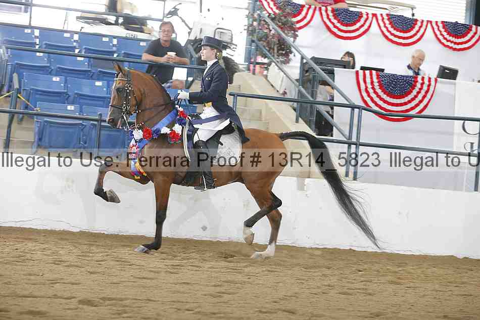 Proof 13r14_5823