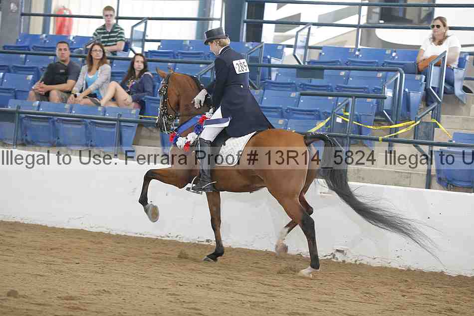 Proof 13r14_5824