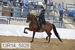 13r14_5828 proof