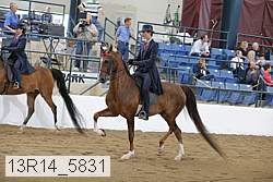 13r14_5831 proof