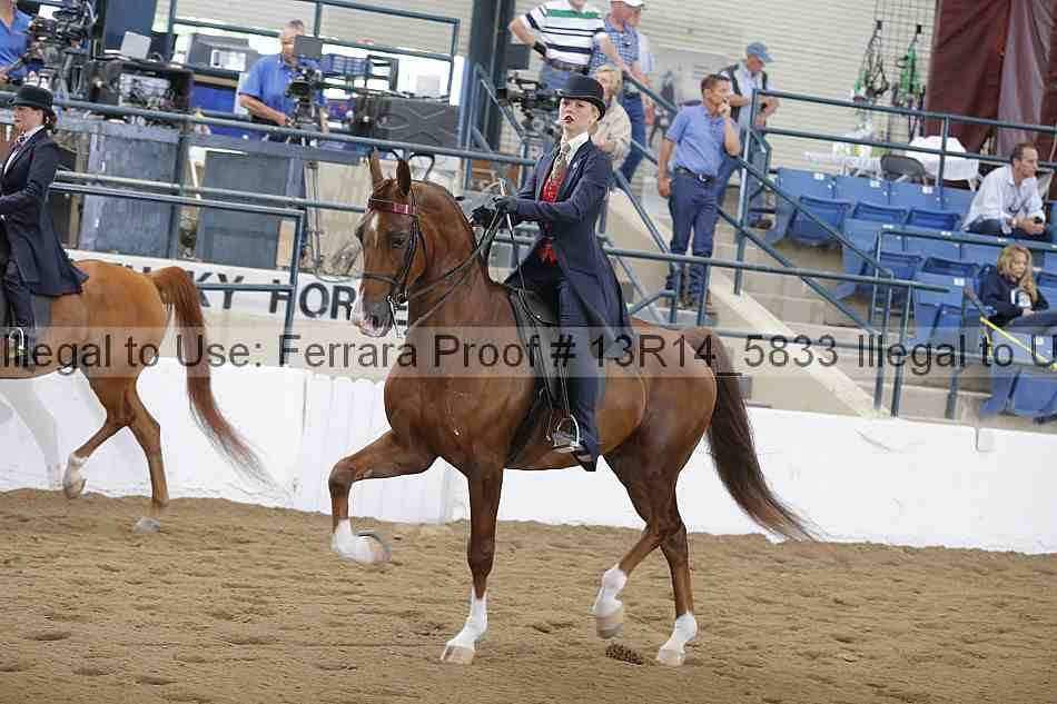 Proof 13r14_5833