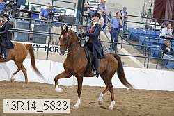 13r14_5833 proof