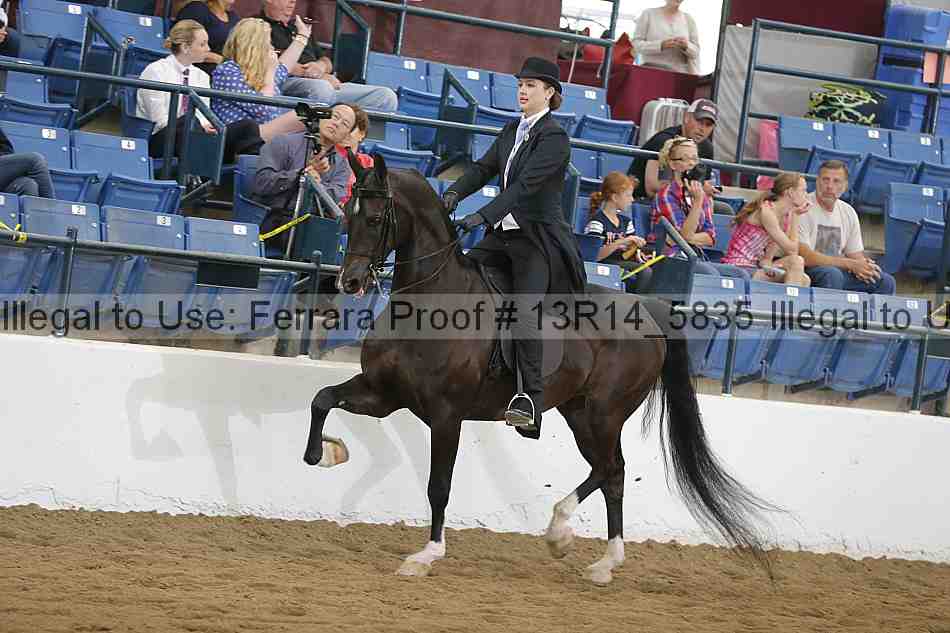 Proof 13r14_5835