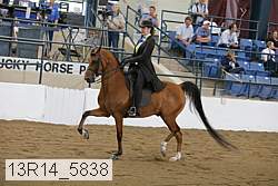 13r14_5838 proof