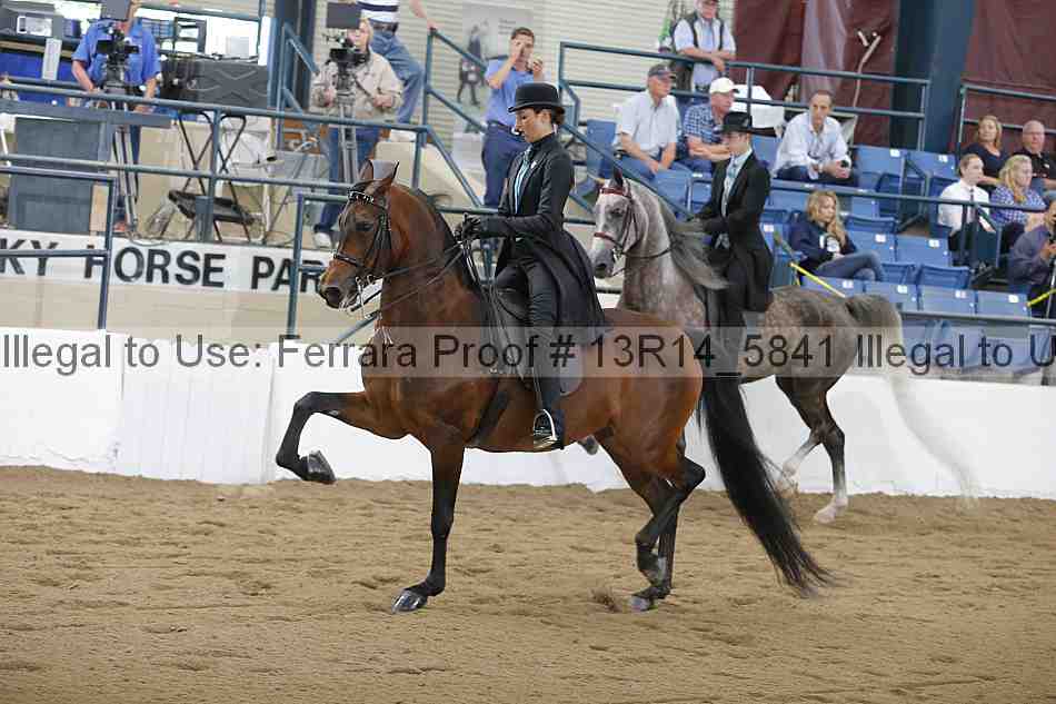 Proof 13r14_5841