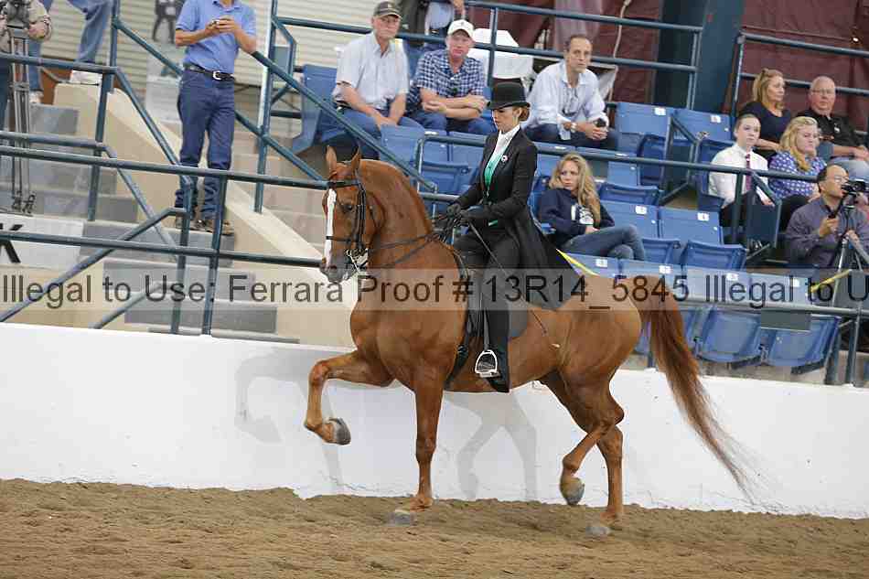 Proof 13r14_5845
