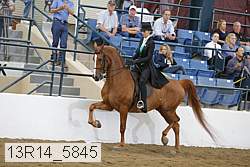 13r14_5845 proof