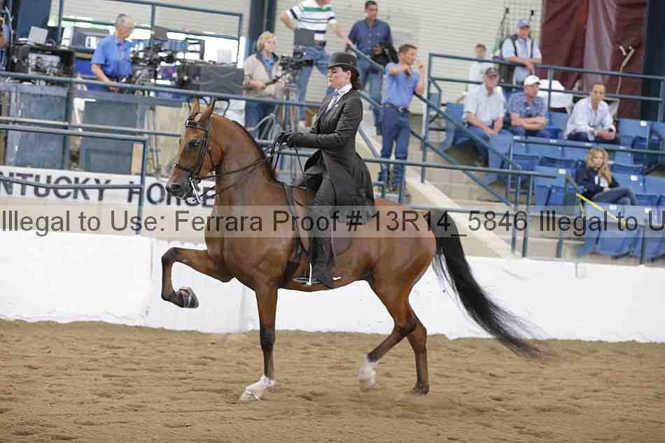Proof 13r14_5846