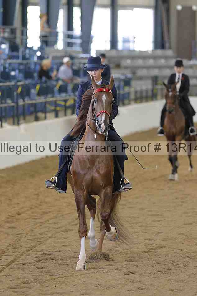 Proof 13r14_5848