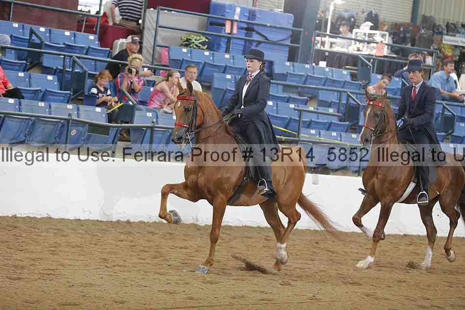 Proof 13r14_5852