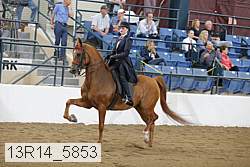 13r14_5853 proof