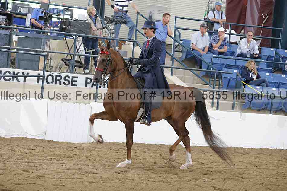 Proof 13r14_5855