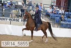13r14_5855 proof