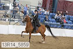 13r14_5859 proof