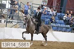 13r14_5861 proof