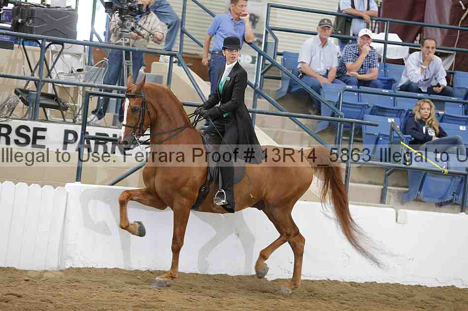Proof 13r14_5863