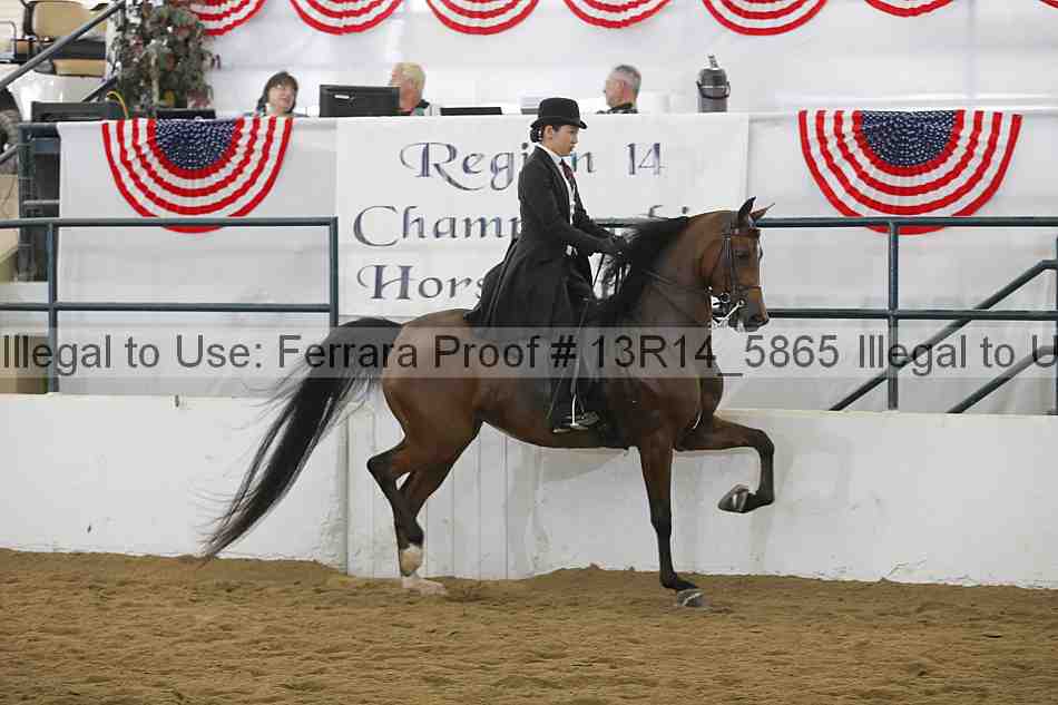 Proof 13r14_5865