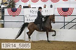 13r14_5865 proof