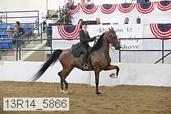 13r14_5866 proof