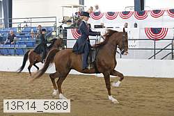 13r14_5869 proof