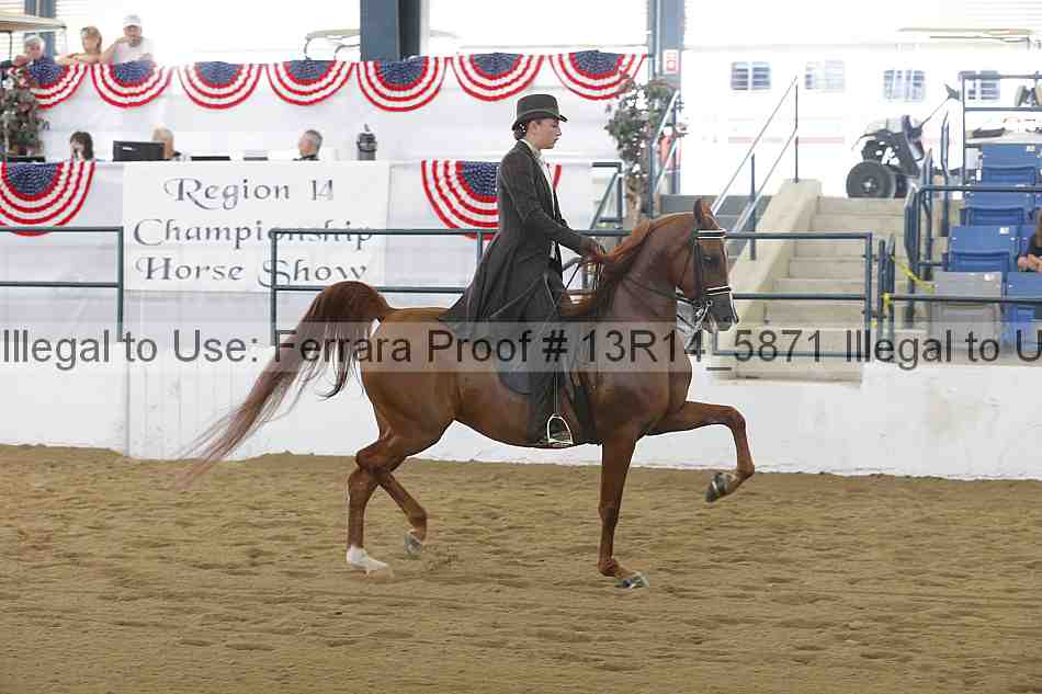 Proof 13r14_5871