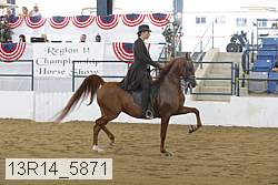 13r14_5871 proof