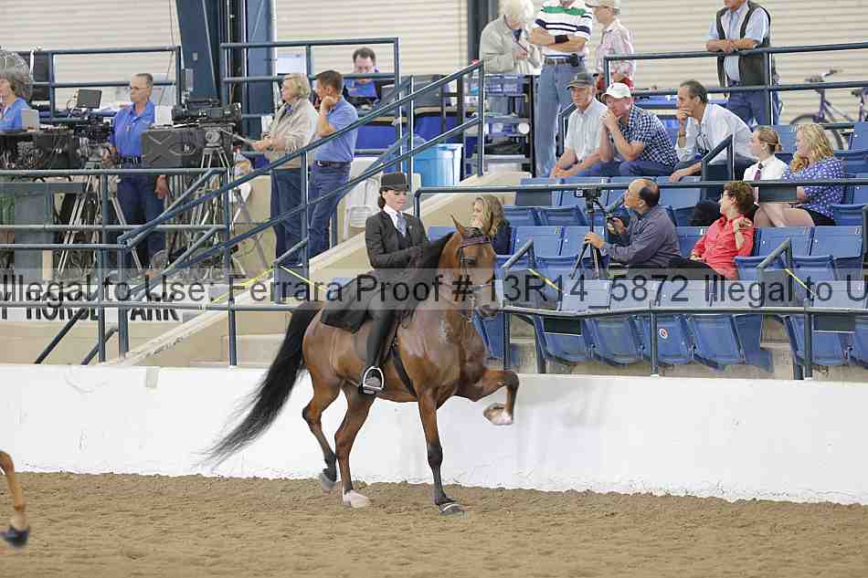 Proof 13r14_5872