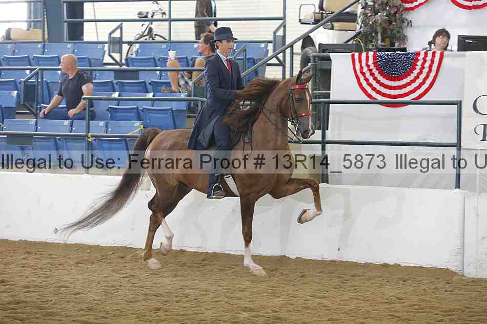 Proof 13r14_5873