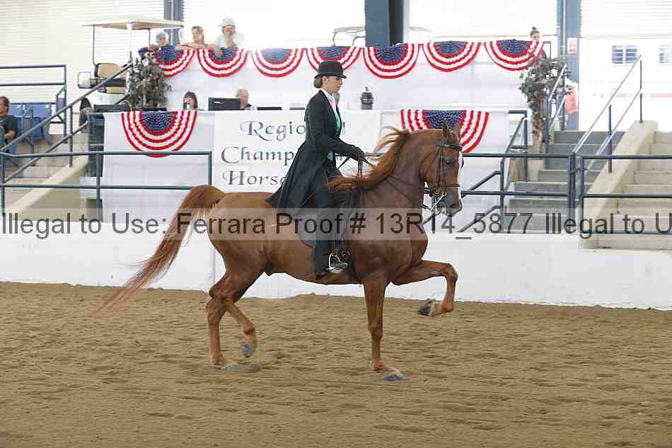 Proof 13r14_5877