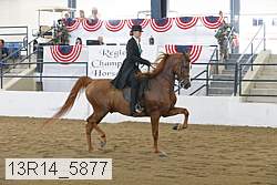 13r14_5877 proof