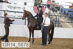 13r14_5878 proof