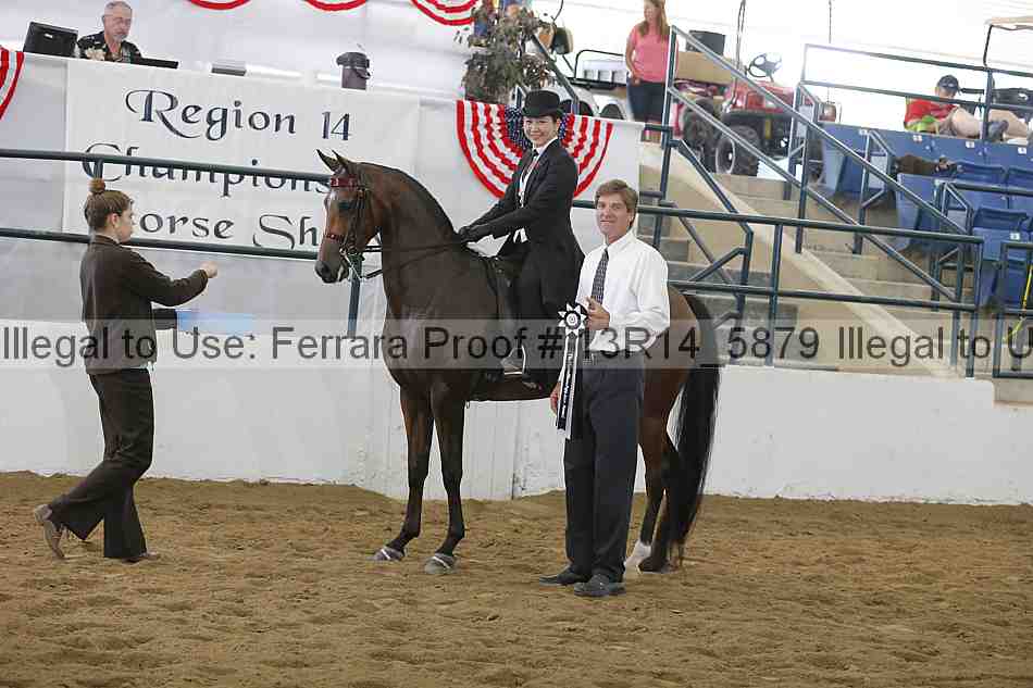 Proof 13r14_5879