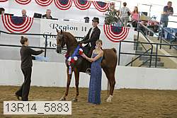 13r14_5883 proof