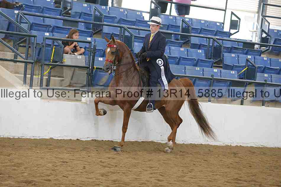 Proof 13r14_5885