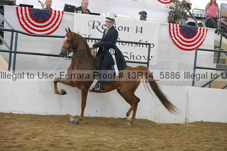 Proof 13r14_5886