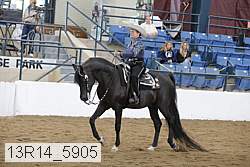 13r14_5905 proof