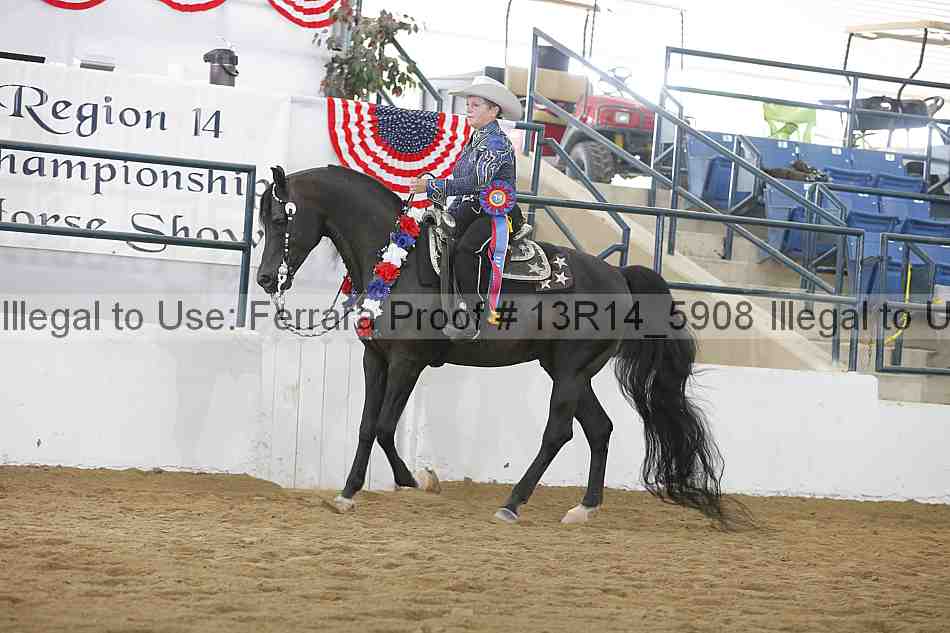 Proof 13r14_5908
