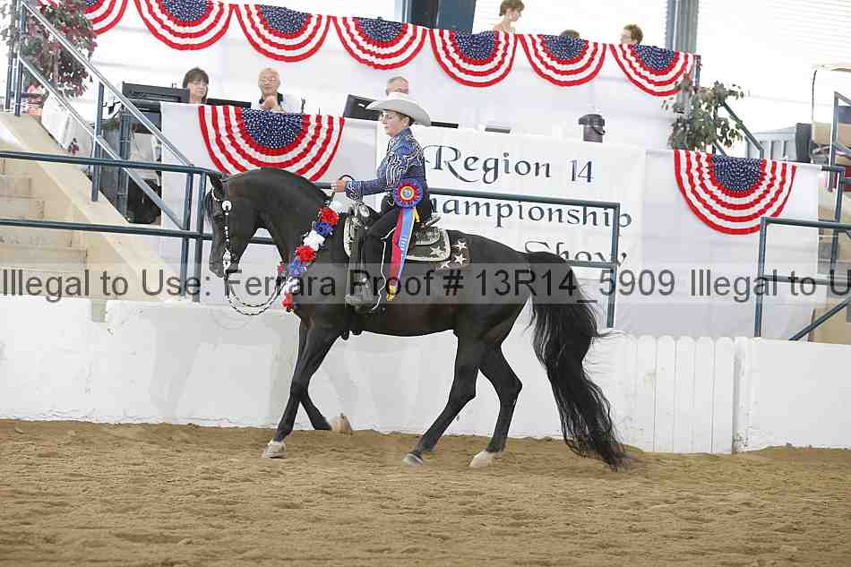 Proof 13r14_5909