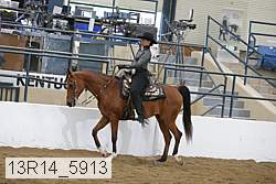 13r14_5913 proof