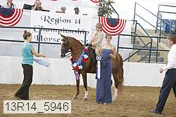 13r14_5946 proof