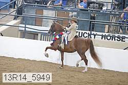 13r14_5949 proof