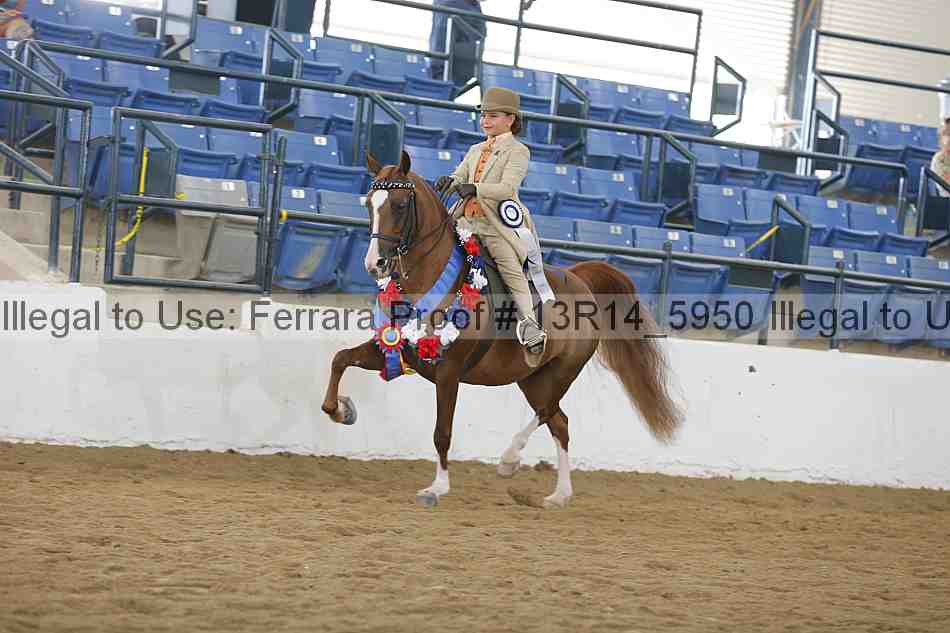 Proof 13r14_5950