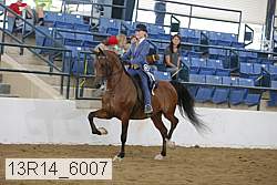 13r14_6007 proof