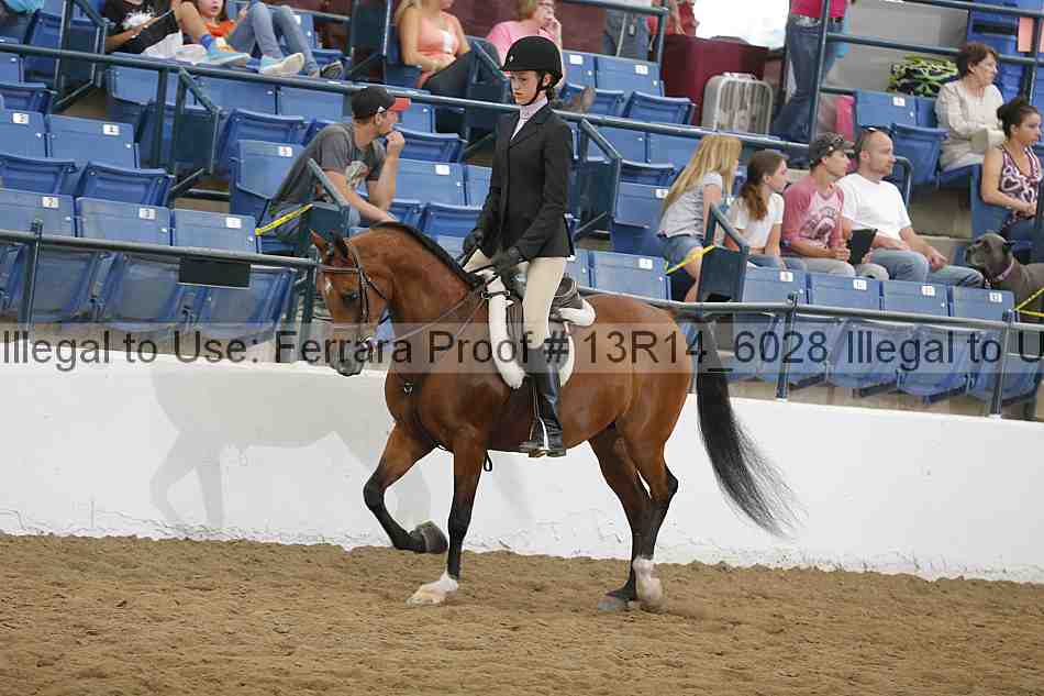 Proof 13r14_6028