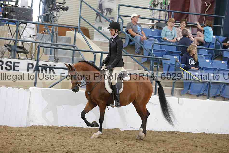 Proof 13r14_6029