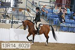 13r14_6029 proof